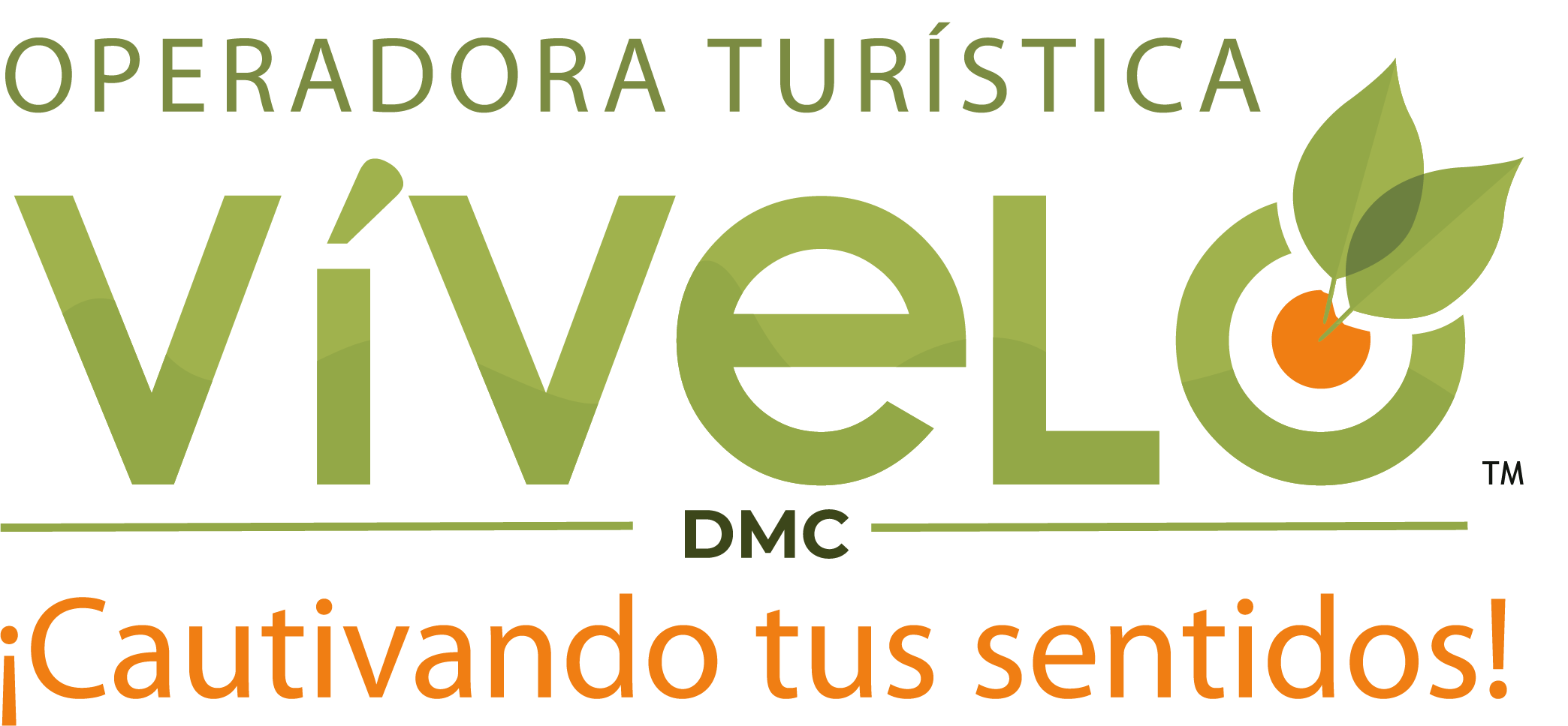 Vivelo Logo
